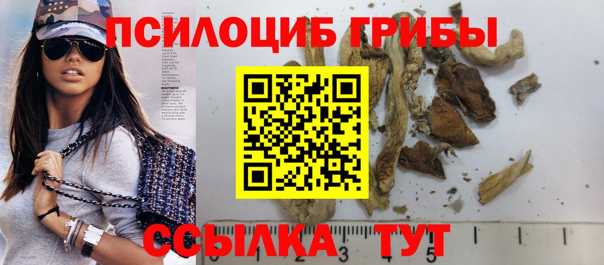 Псилоцибиновые грибы Psilocybe Вышний Волочёк